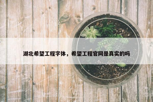 湖北希望工程字体，希望工程官网是真实的吗