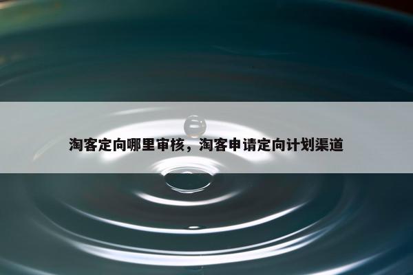 淘客定向哪里审核，淘客申请定向计划渠道