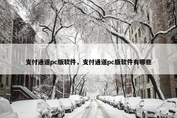 支付通道pc版软件，支付通道pc版软件有哪些