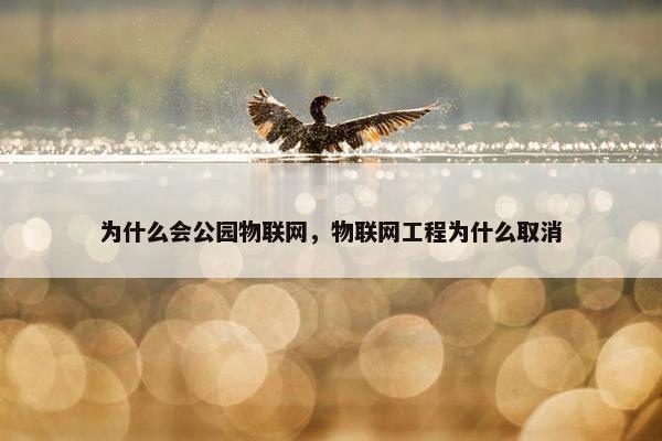 为什么会公园物联网，物联网工程为什么取消