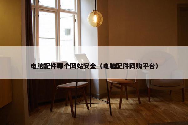 电脑配件哪个网站安全（电脑配件网购平台）