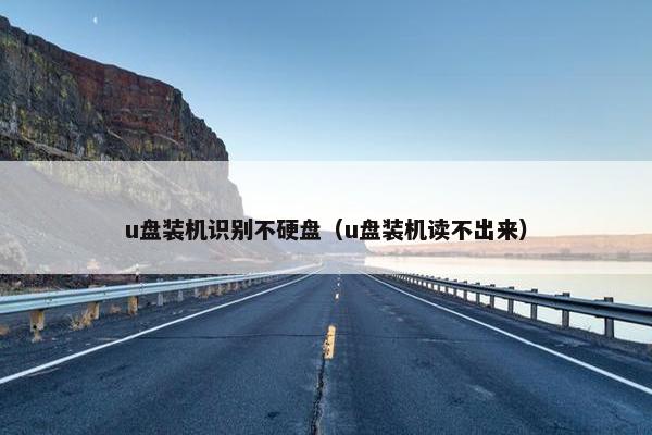 u盘装机识别不硬盘（u盘装机读不出来）