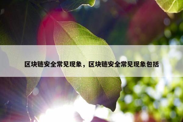 区块链安全常见现象，区块链安全常见现象包括