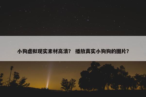 小狗虚拟现实素材高清？ 播放真实小狗狗的图片？