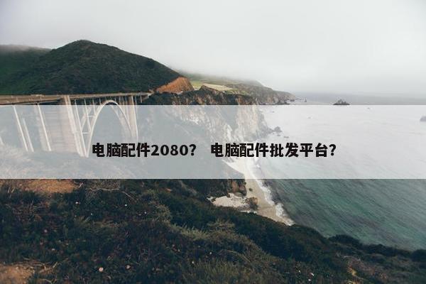 电脑配件2080？ 电脑配件批发平台？