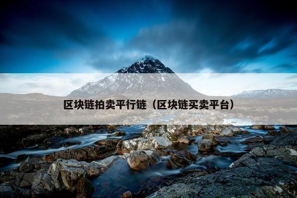 区块链拍卖平行链（区块链买卖平台）