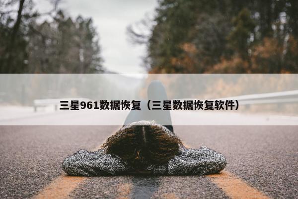 三星961数据恢复（三星数据恢复软件）