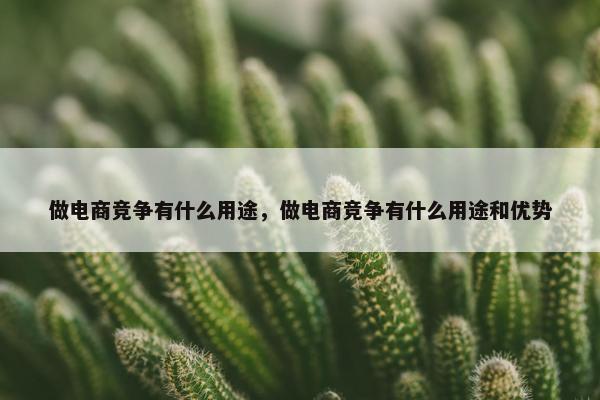 做电商竞争有什么用途，做电商竞争有什么用途和优势