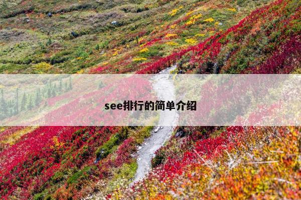 see排行的简单介绍