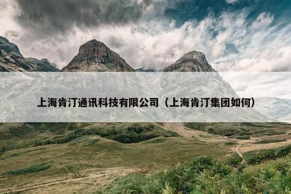 上海肯汀通讯科技有限公司（上海肯汀集团如何）
