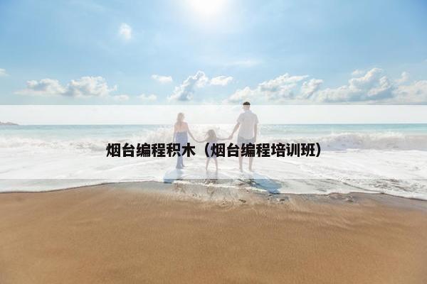 烟台编程积木（烟台编程培训班）