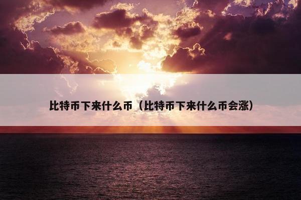 比特币下来什么币（比特币下来什么币会涨）