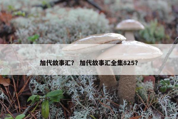 加代故事汇？ 加代故事汇全集825？