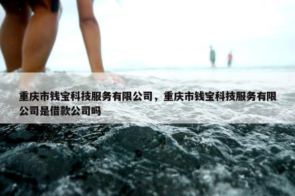重庆市钱宝科技服务有限公司，重庆市钱宝科技服务有限公司是借款公司吗