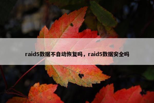 raid5数据不自动恢复吗，raid5数据安全吗