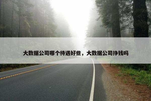 大数据公司哪个待遇好些，大数据公司挣钱吗