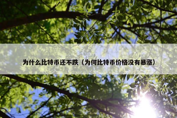 为什么比特币还不跌（为何比特币价格没有暴涨）