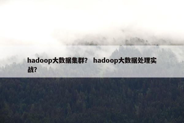 hadoop大数据集群？ hadoop大数据处理实战？