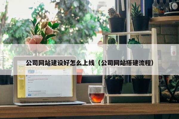 公司网站建设好怎么上线（公司网站搭建流程）
