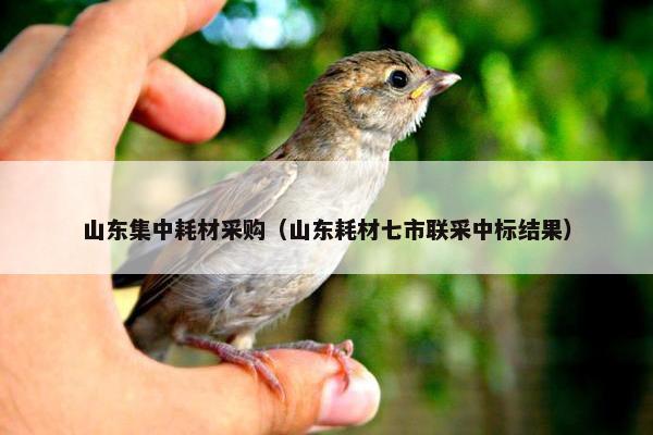 山东集中耗材采购（山东耗材七市联采中标结果）