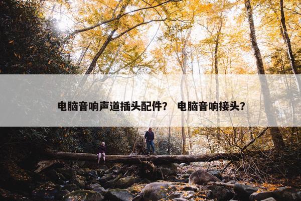 电脑音响声道插头配件？ 电脑音响接头？