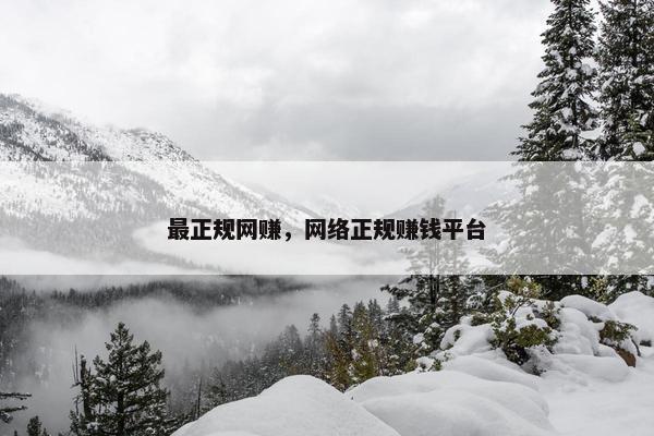 最正规网赚，网络正规赚钱平台