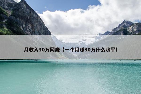 月收入30万网赚（一个月赚30万什么水平）