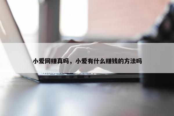 小爱网赚真吗，小爱有什么赚钱的方法吗