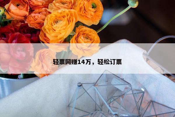 轻票网赚14万，轻松订票