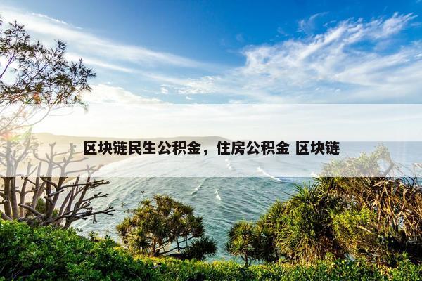 区块链民生公积金，住房公积金 区块链