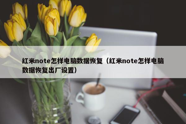 红米note怎样电脑数据恢复（红米note怎样电脑数据恢复出厂设置）