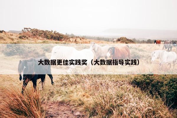 大数据更佳实践奖（大数据指导实践）