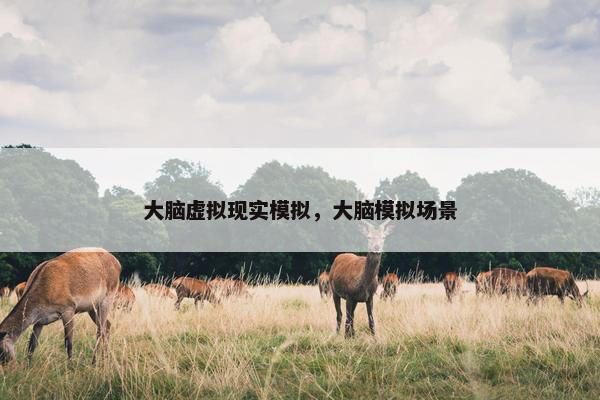 大脑虚拟现实模拟，大脑模拟场景