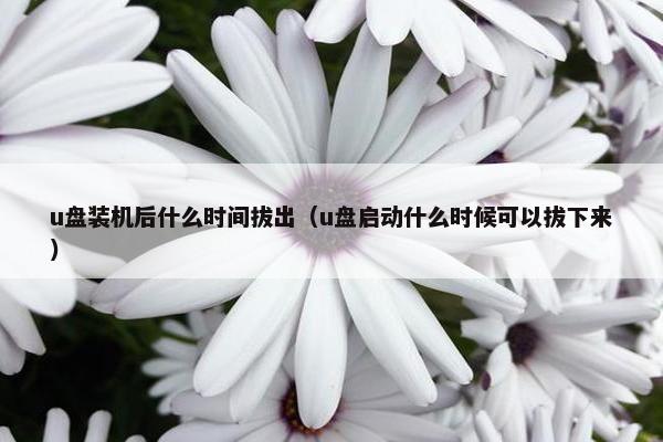 u盘装机后什么时间拔出（u盘启动什么时候可以拔下来）