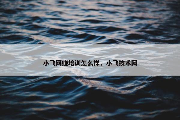 小飞网赚培训怎么样，小飞技术网
