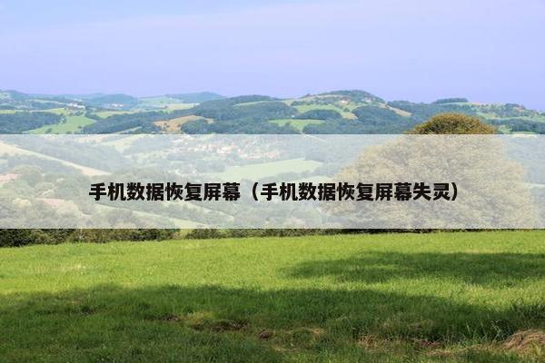 手机数据恢复屏幕（手机数据恢复屏幕失灵）