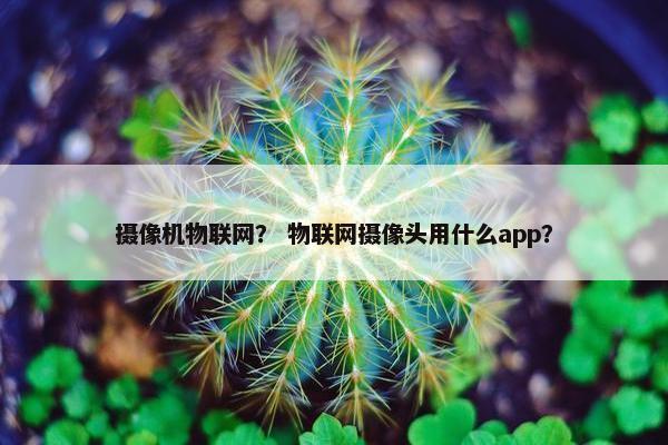 摄像机物联网？ 物联网摄像头用什么app？