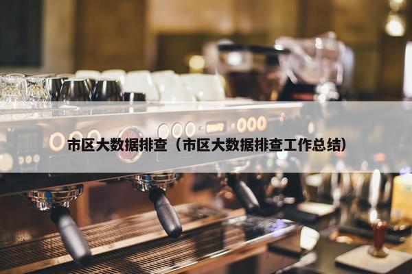 市区大数据排查（市区大数据排查工作总结）
