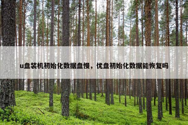 u盘装机初始化数据盘慢，优盘初始化数据能恢复吗