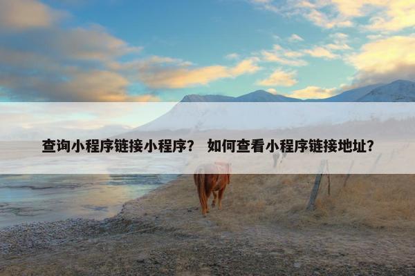 查询小程序链接小程序？ 如何查看小程序链接地址？