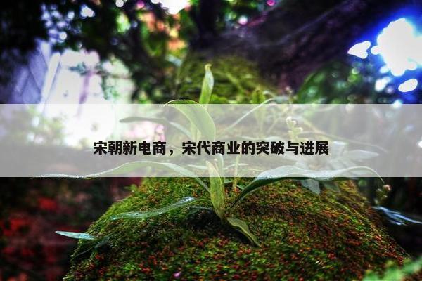 宋朝新电商，宋代商业的突破与进展