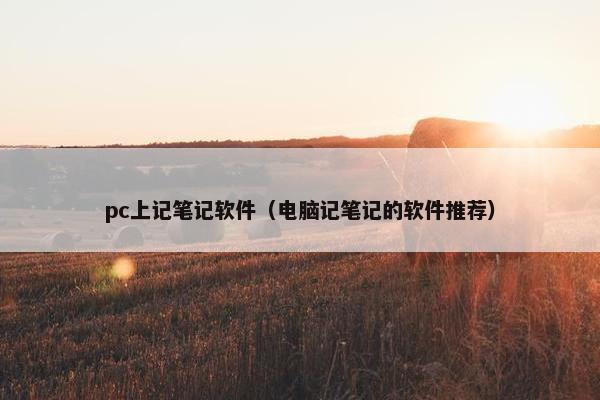 pc上记笔记软件（电脑记笔记的软件推荐）
