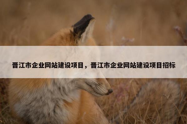 晋江市企业网站建设项目，晋江市企业网站建设项目招标