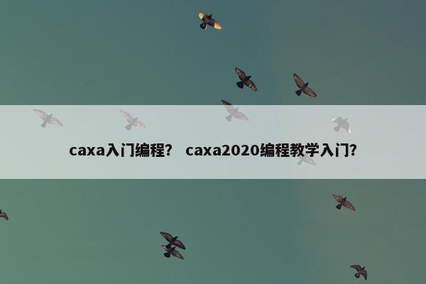 caxa入门编程？ caxa2020编程教学入门？