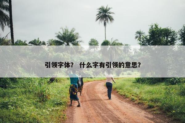 引领字体？ 什么字有引领的意思？