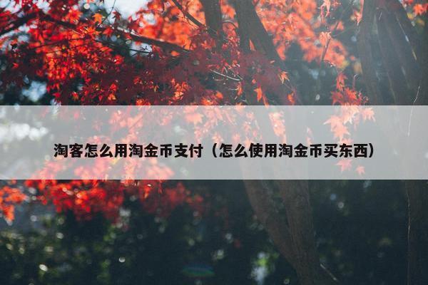 淘客怎么用淘金币支付（怎么使用淘金币买东西）