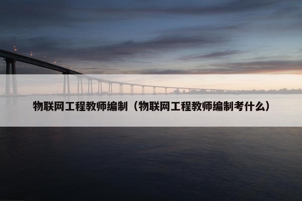 物联网工程教师编制（物联网工程教师编制考什么）