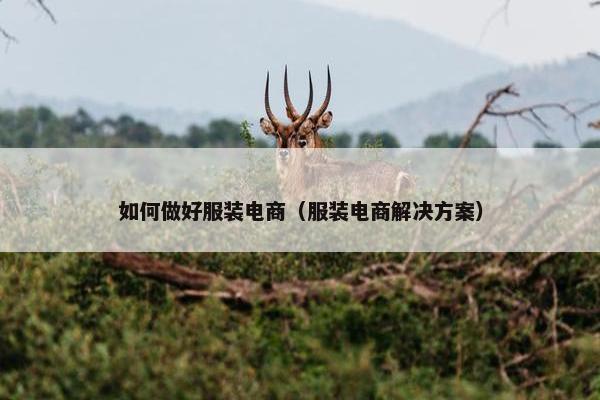 如何做好服装电商（服装电商解决方案）