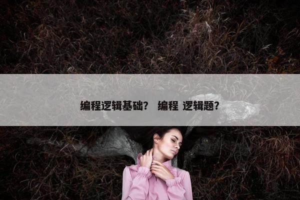 编程逻辑基础？ 编程 逻辑题？