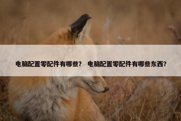 电脑配置零配件有哪些？ 电脑配置零配件有哪些东西？